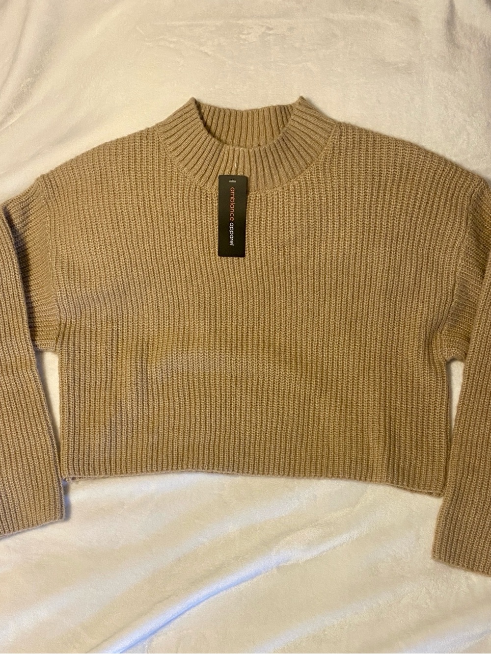 Ambiance Ribbed Crop Sweater in Beige